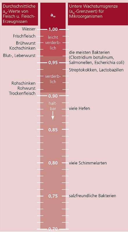 Fleischtrocknung aw Werte