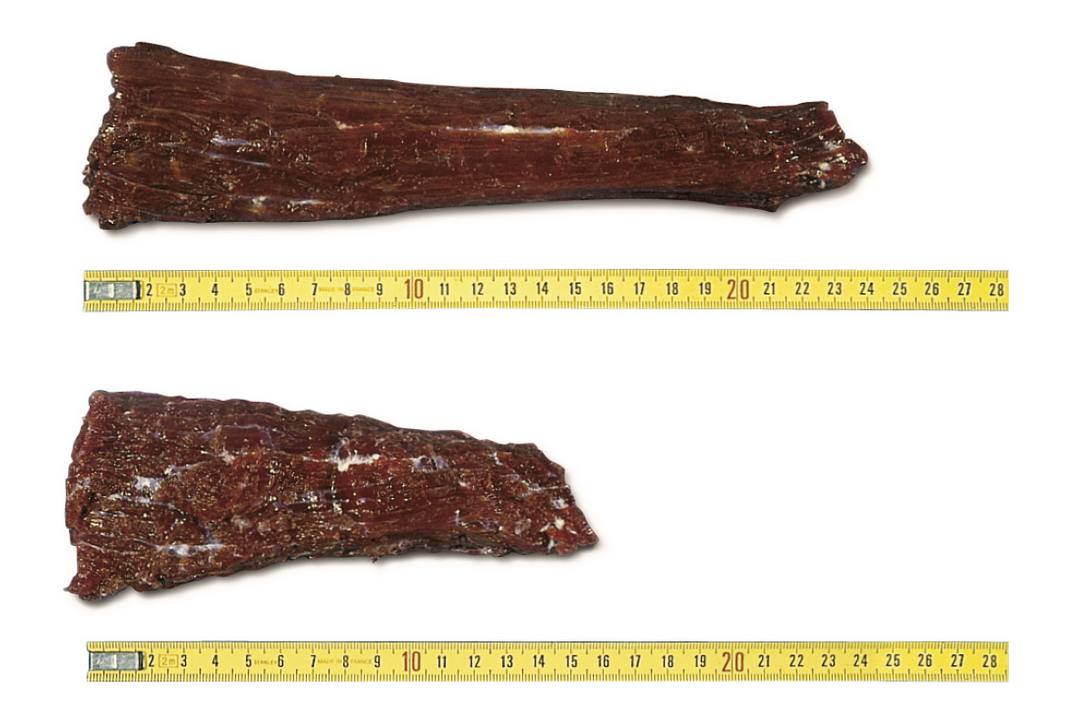 Fleisch Kälteverkürzung beim Reifen