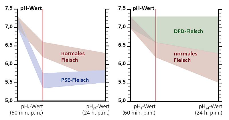 PSE DFD Fleisch pH Werte Tabelle